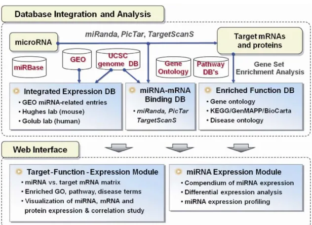 Figure 2.6 Overview schema of miRGator. 