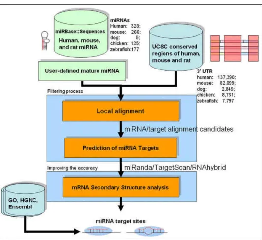 Figure 2.7 System flow of miRTar. 