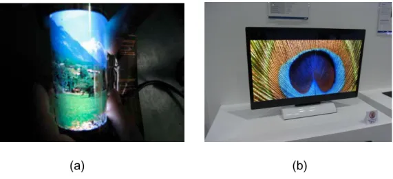 Fig. 1-5 Photographs of (a) 6.5 inch flexible full-color top emission AMOLED  panel with a-IGZO TFTs as back plane [25] and (b) 32 inch prototype OLED  TV driven by a-IGZO TFTs [26]