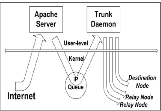 Figure 3.2.1-1: The trunk daemon sets firewall rules to intercept and dispatch      packets to the DN and its helping RNs