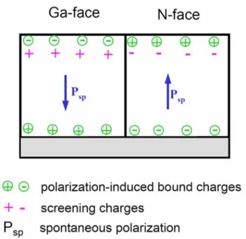 Fig. 3 Schematic band diagram on surface band bending: (a)Ga-face and  (b) N-face samples