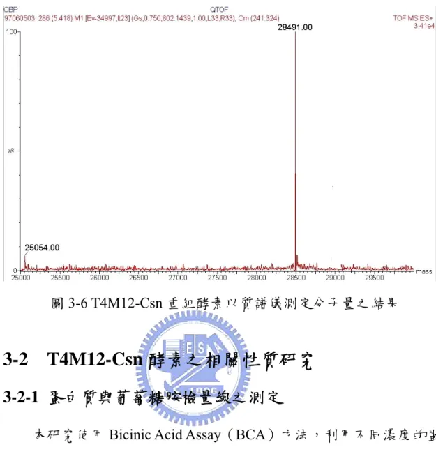 圖 3-6 T4M12-Csn 重組酵素以質譜儀測定分子量之結果 