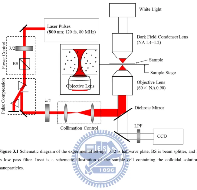 Figure 3.1 Schematic diagram of the experimental set-up;  λ/2 is halfwave plate, BS is beam splitter, and LPF  is low pass filter