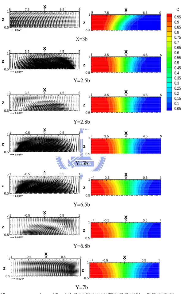 圖 4.17    square wave channel Re=6 在不同 Y 方向之截面速度向量、濃度分佈圖 
