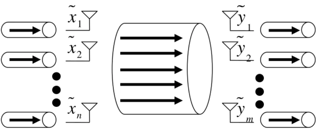 Fig. 2-2 Spatial multiplexing system 