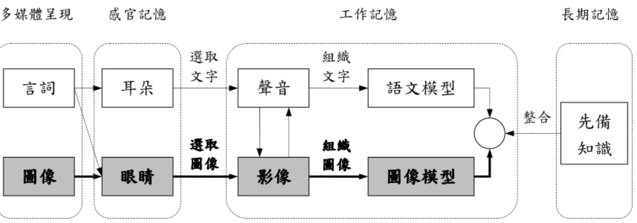 圖  6  聽覺通道處理過程 
