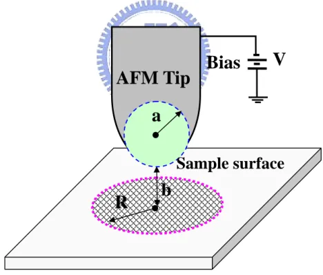Figure 2.4 Distribution diagram of electric field exists between the apex of AFM-tip and  the substrate surface