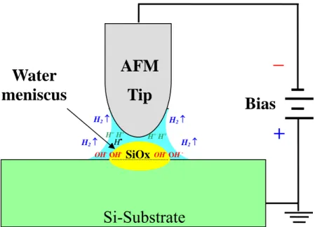 Figure 2.5 Schematic principle of SPM-based electric-field induced local oxidation  process