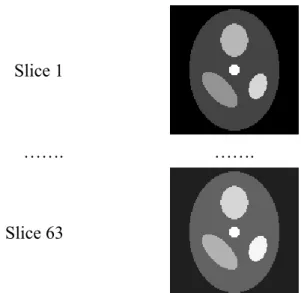 Figure 3.3.1-2: 3D microPET images for 63 slices are illustrated. Every image  has the pixels size of 128 by 128