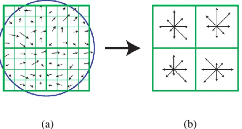 Figure 2-2 SIFT matching result [4] 