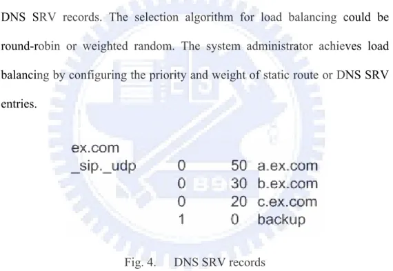 Fig. 4.  DNS SRV records 