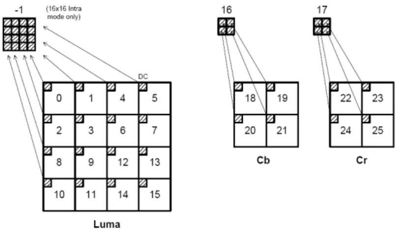 Figure 1-2    Scanning Order of Residual Blocks within a Macroblock 