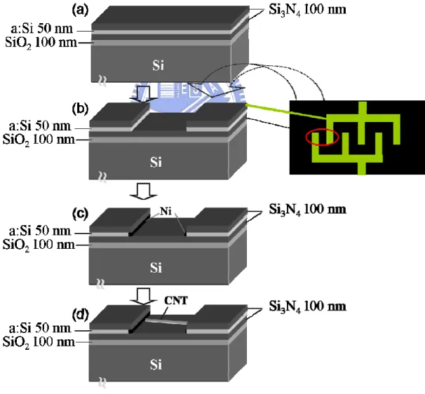 Fig. 3-8 Schematic diagrams showing the electroless plating catalyst-assisted CNTs grown  across trenches of a pattern