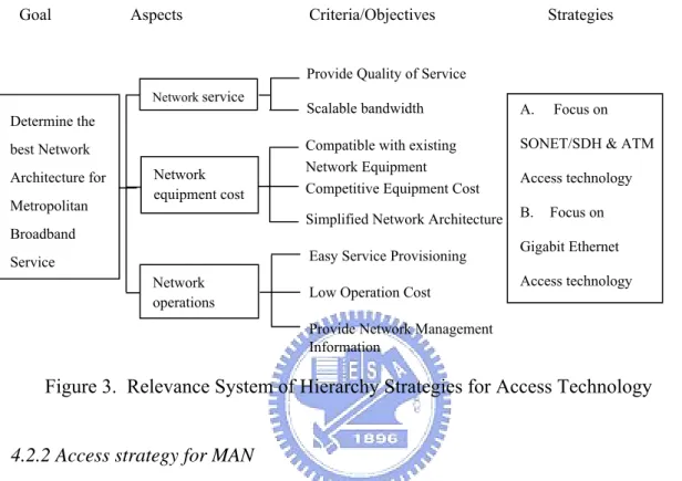 Figure 3.  Relevance System of Hierarchy Strategies for Access Technology 