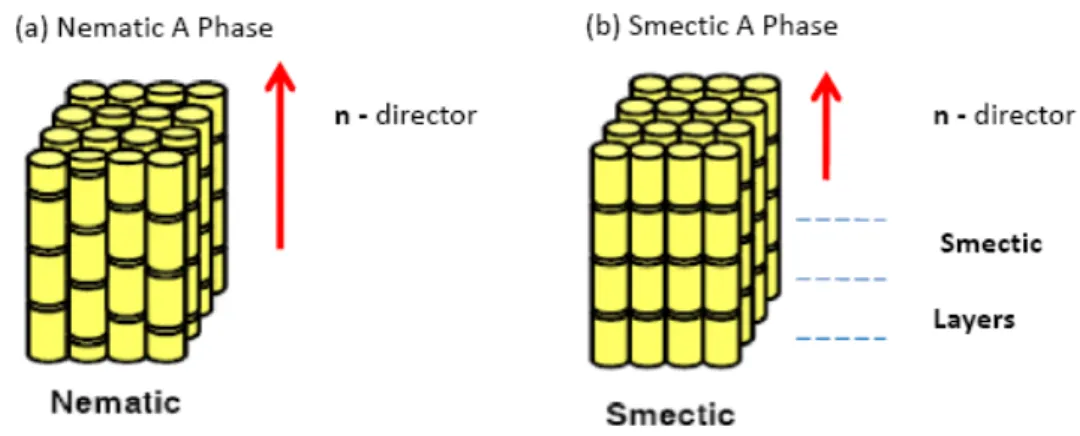Figure 1-2. (a) Nematic phase with high orientational order but lower positional  order (b) Smectic phase with high orientational and positional order