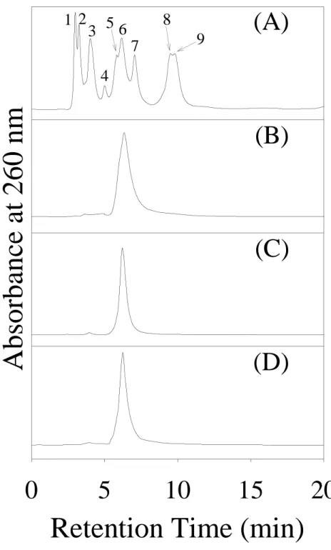 Figure 4. ESI-MS spectra. (A) ESI-MS spectrum of native PST; (B) Deconvoluted  using the “MassLynx” program; (C) The MS-MS spectrum of m/z 428 peak from (A)