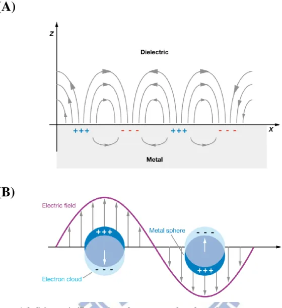 Figure 1-3. Schematic illustration of two types of surface plasmon resonance  When metallic materials stimulated by electromagnetic (EM) radiation would form an  electron gas that moves away from its equilibrium position and displaces by induced surface  p