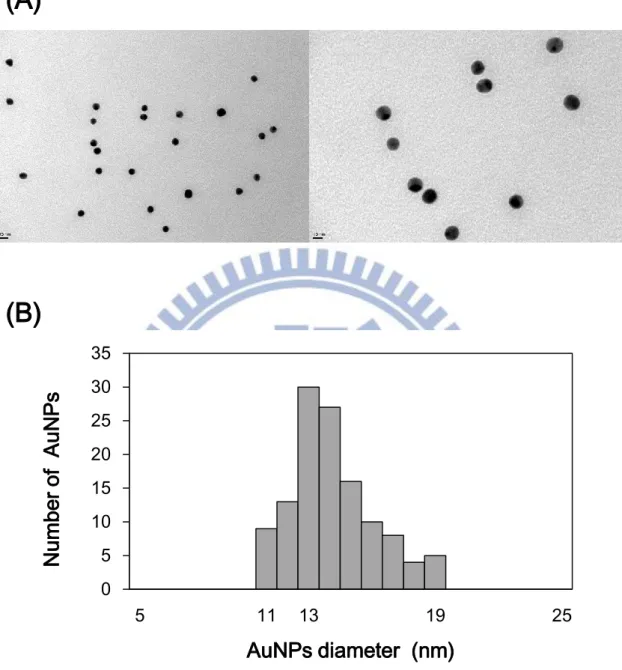Figure 4-3. Size determination of citrate-capped AuNPs by TEM 