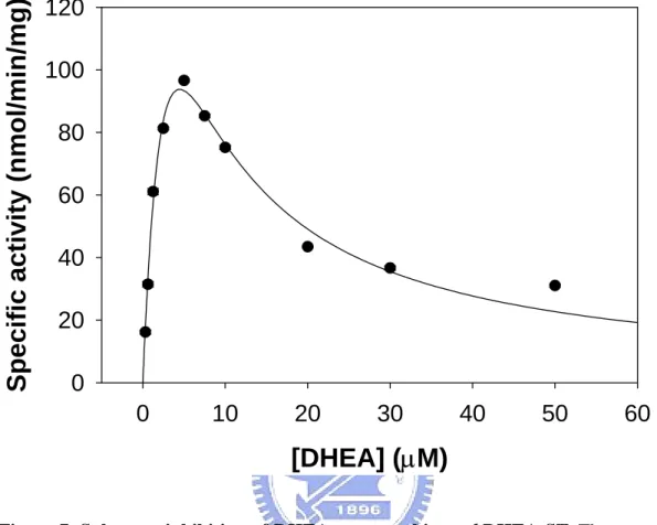 Figure 7. Substrate inhibition of DHEA on recombinant hDHEA-ST. The enzymatic  assays were carried out under the condition of coupled-enzyme assay for AST at pH 7.0  with about 0.5 µg recombinant hDHEA-ST and different DHEA concentrations (0.3 ~  50.0 µM)