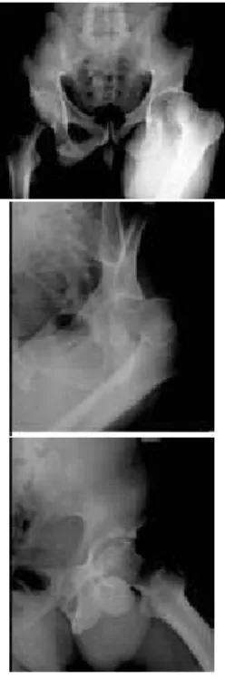 Figure 2-4: An example of medical case note and associated images 