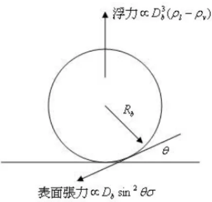 圖 2.1 池沸騰時汽泡的脫離與力量平衡[15]