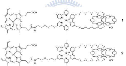 Figure 1-12 Chmical structure of (1) (Fe III OH 2 )-Ru 2+ -BXV 4+  and (2) (Zn)-Ru 2+ -BXV 4+ 
