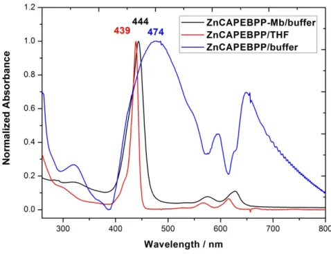 Figure 4-8 Normalized steady-state absorption spectra of ZnPE1 in THF, 100mM KPi buffer  and reconstituted with apo-Mb in 100mM KPi