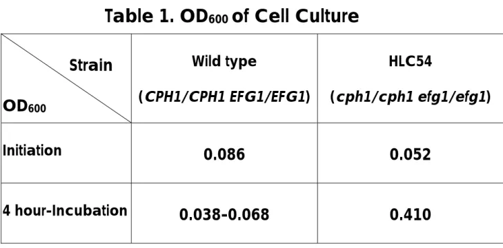 Table 1. OD 600  of Cell Culture                              Strain    OD 600 Wild type  (CPH1/CPH1 EFG1/EFG1)  HLC54  (cph1/cph1 efg1/efg1)  Initiation  0.086  0.052  4 hour-Incubation  0.038-0.068  0.410 