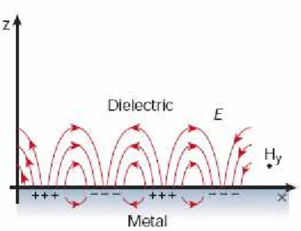 Figure 1.1: Schematic diagram of the surface plasmons [1].