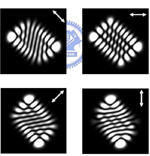 Fig. 2.3.9 Numerically reconstructed patterns for the experimental results shown in  Fig