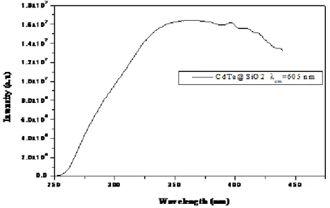 圖  2-1-2  CdTe 量子點以 605nm 為偵測波長，螢光激發光譜(PLE) 