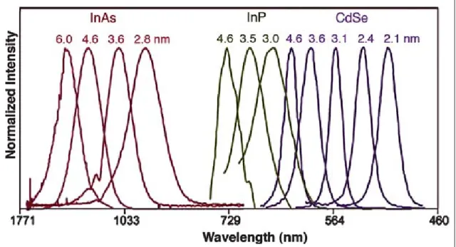 Figure 1-1：Emission spectra of several semiconductor nanocrystals showing their  size- and composition-dependent emission character