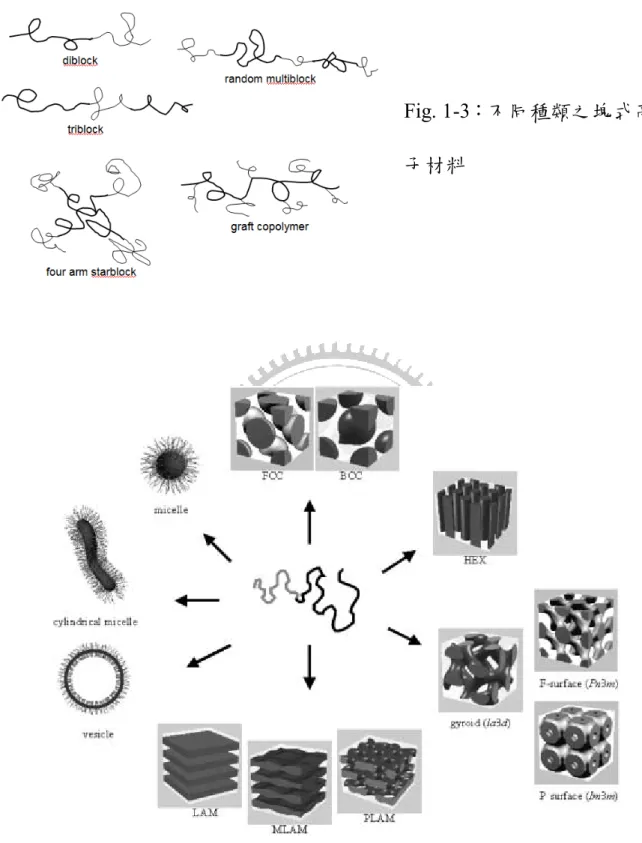 Fig. 1-3：不同種類之塊式高分 子材料 