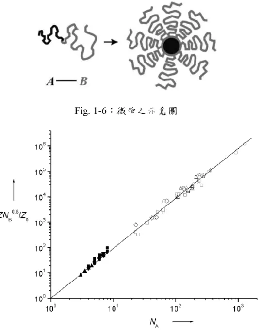 Fig. 1-6：微胞之示意圖 