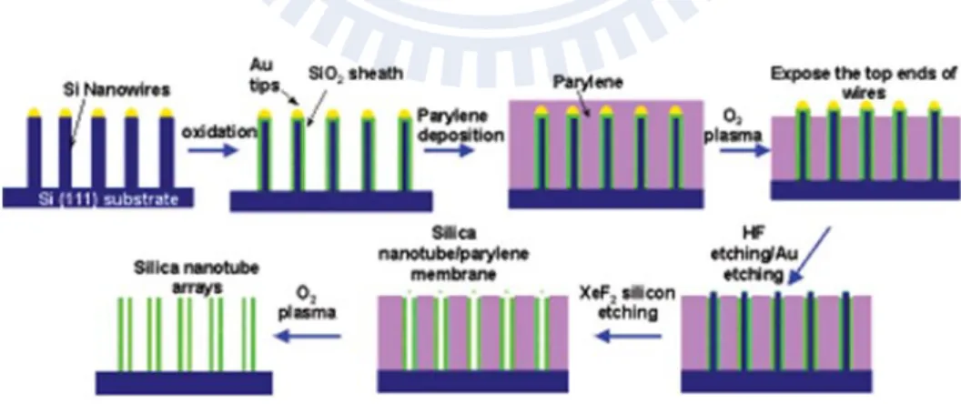 Figure 2.13 Flowchart for ordered silica nanotube arrays, fabricated by using vertical silicon nanowire  templates [59]