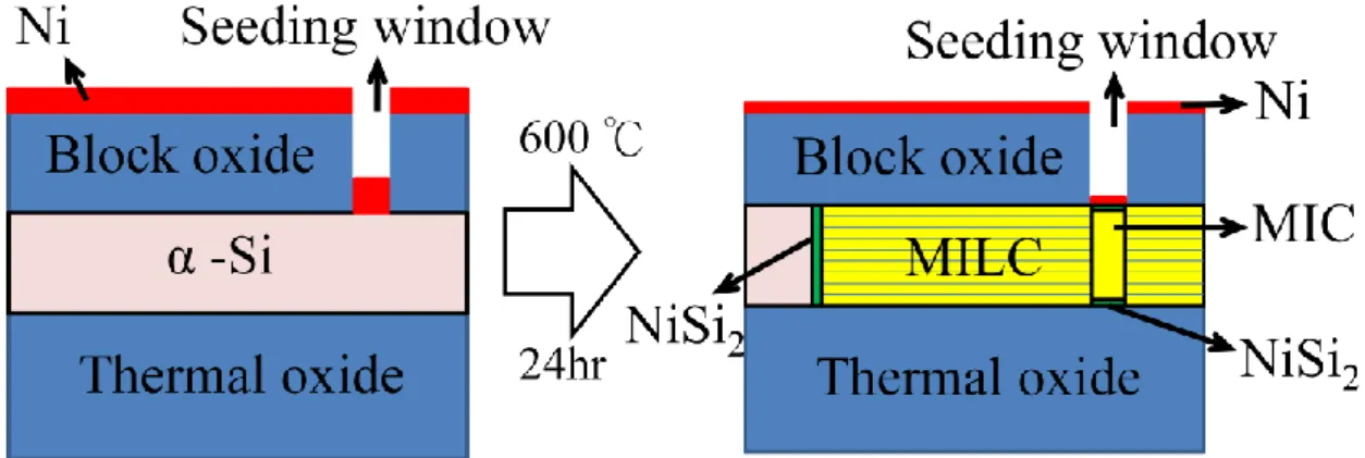 Figure 2-1.  MILC process of -Si with Ni as the seed. 