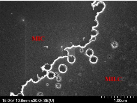 Figure 2-4.  SEM  top  view  of  a  MILC  sample.  Enlarged  views  of  the  sample  showing  (b)  the  interface  of  MIC/MILC  and  (c)  intersection  of  SPC/MILC