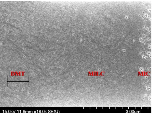 Figure 2-12.  SEM picture for the region of DMT in an HC-TFT with ASW. (B1 type  with structural parameters listed in Table 2-1) 