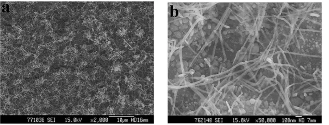 Fig. 2-2 The typical SEM images of the as-prepared In nanowires. (a) and (b) are low  and high magnification, respectively