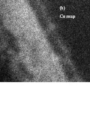 Fig. 4-1: (a) A cross-sectional TEM image of the sample without Si implantation  annealed at 600 °C for 90 sec, with ESI elemental maps for (b) Co and (c) Si