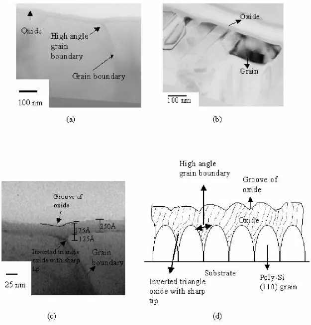 Fig. 2-2 TEM cross-section micrographs of (a) doped poly-Si and (b) doped stacked  poly-Si (c) the magnified image of (a) around the grain boundary region