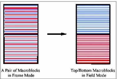 Fig 2.14 Conversion of a frame macroblock pair into a field macroblock pair [2] 