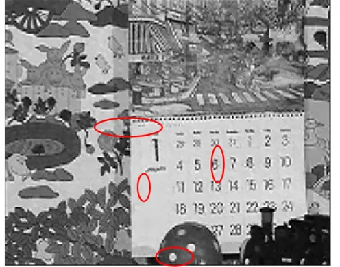 Fig 3.14 Pepper and salt noise in the reconstructed image of the Mobile sequence 