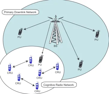 Figure 2.1: Network scenarios for the coexistence of both the primary and the CR networks