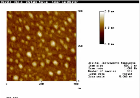 圖 3-10c  薄膜於 500 O C 蒸鍍，未退火之 AFM 影像 