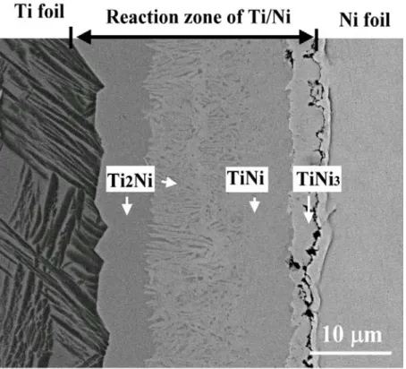 Fig. 4-8. 316L S-S/Ti-Ni-Ti foils/ZrO 2 經 950 o C/1hr 擴散反應後 Ni 箔 Ti 箔側反應 層放大圖(BEI)。 