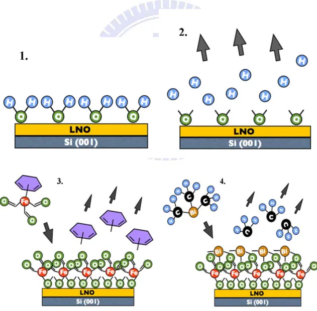 Figure 3.4 ALD deposition process of BFO thin film for one cycle.