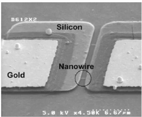 Figure 2.7 Field emission scanning electron microscopy images of a fabricated device. 