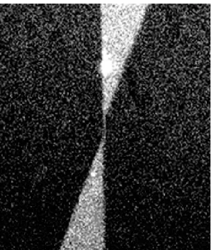 Figure 3.7 Fluorescence microscopy image proving the existence of DNA on the PtSi  nanowire