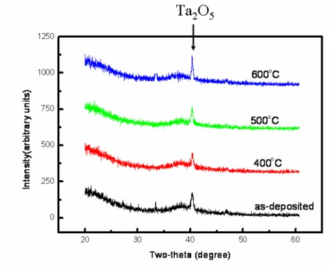 圖 3-3   各溫度退火下 TaPt1 薄膜的 X 光繞射分析結果。 